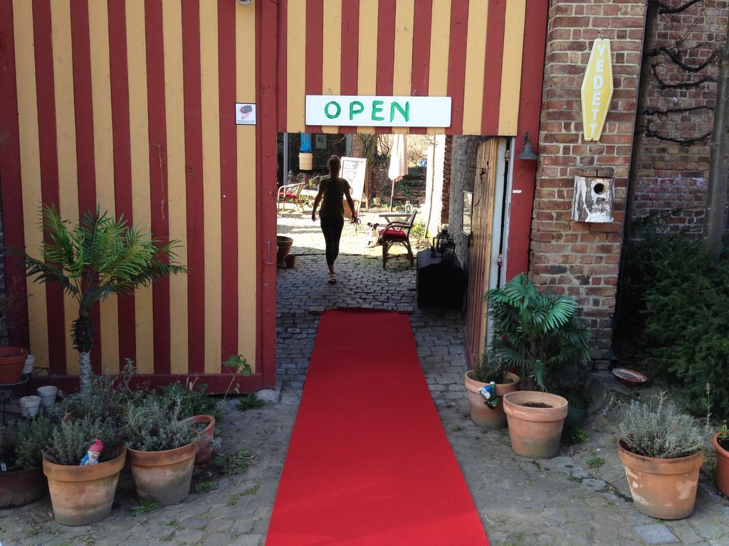 B&B De Henehoeve Heks Exterior foto
